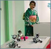 AIBO WORLD in ���{��������