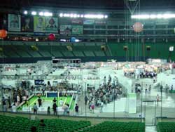 �����̗l�q