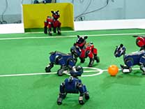 �{�[������