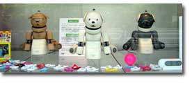 AIBO���v