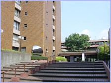 ��ʌ��������܎s�̍�ʉ��