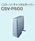 CSV-P500