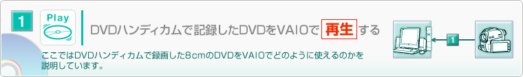 1.DVD�n���f�B�J���ŋL�^����DVD��VAIO�ōĐ�����