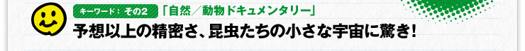 キーワード:その2 「自然/動物ドキュメンタリー」 予想以上の精密さ、昆虫たちの小さな宇宙に驚き!