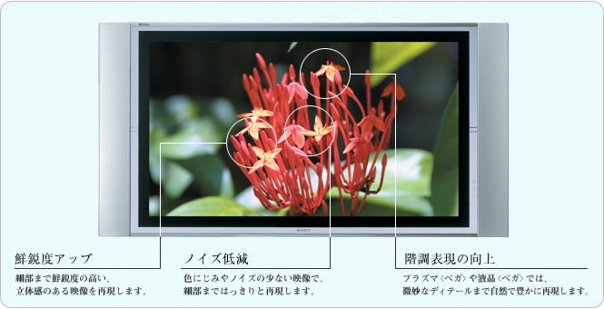 �u�x�K�G���W���v�̌���