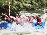 �A�h�x���`���[TV�J�����}�� ���� �Ύ� �l