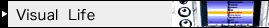 Visual Life