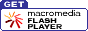 Get the latest Flash player