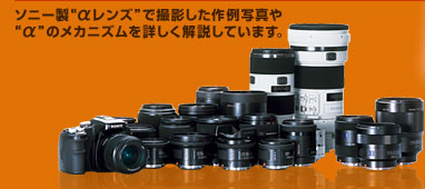 \j[gYhŎBeʐ^gh̃JjYڂ܂B