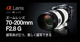レンズコンテンツ　被写体が立つ、美しく描写できる ズームレンズ70-200mm F2.8 G