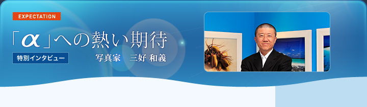 �u���v�ւ̔M������