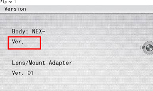Confirming if the unit is applicable (Version Check)