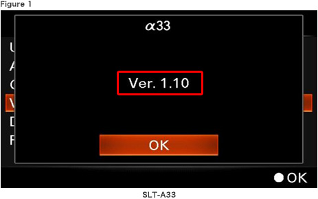 Confirming if the unit is applicable (Version Check)