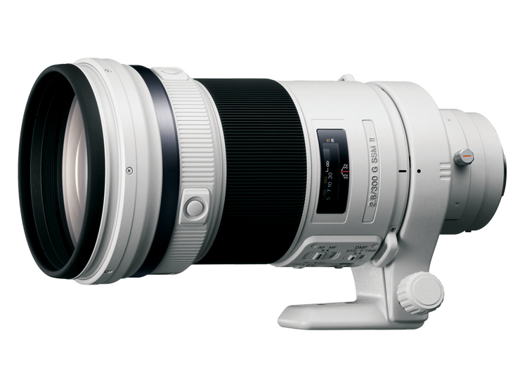 SAL300F28G2 主な仕様 | デジタル一眼カメラα（アルファ） | ソニー