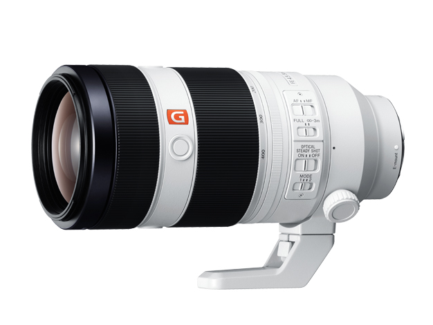  FE 100-400mm F4.5-5.6 GM OSS + 2X Teleconverter