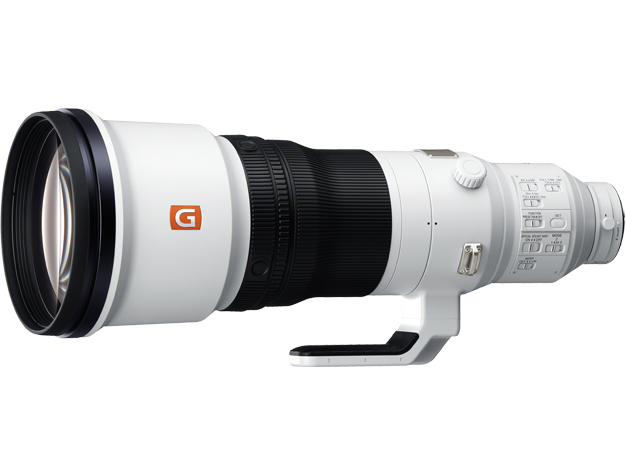  FE 600mm F4 GM OSS + 2X Teleconverter