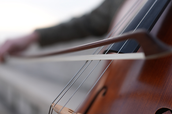 1/500�b�@F2�@ISO200