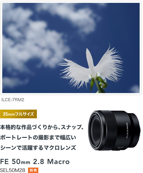 ご購  黒　ブラック　デジタル一眼レフ　望遠　マクロ　デジイチ α6000 Sony デジタルカメラ