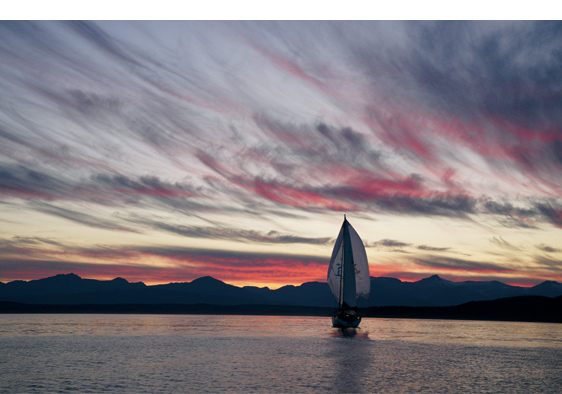 FE 24-70mm F2.8 GM@1/320b@F11@ISO3200iILCE-7RM3ɂĎBej