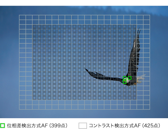 r Iii 特長 飛躍的進化を遂げたaf性能 デジタル一眼カメラa アルファ ソニー