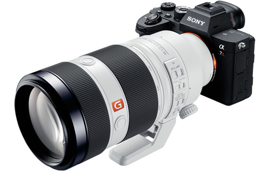 α7R IV（ILCE-7RM4A） 特長 : 充実したミラーレス専用設計レンズ | デジタル一眼カメラα（アルファ） | ソニー