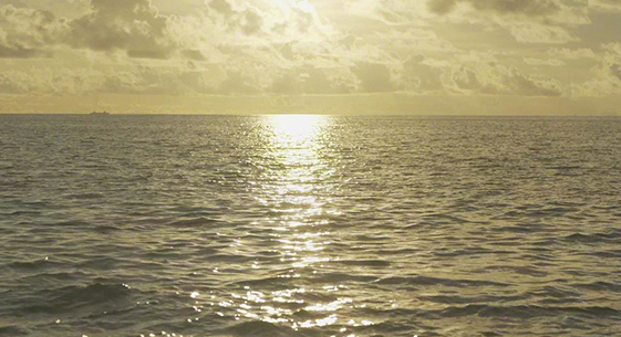 �� �摜�̓C���[�W�ł�