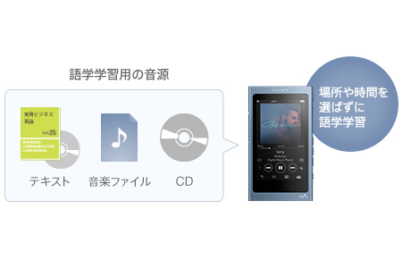 WALKMAN NW-A40 32GB