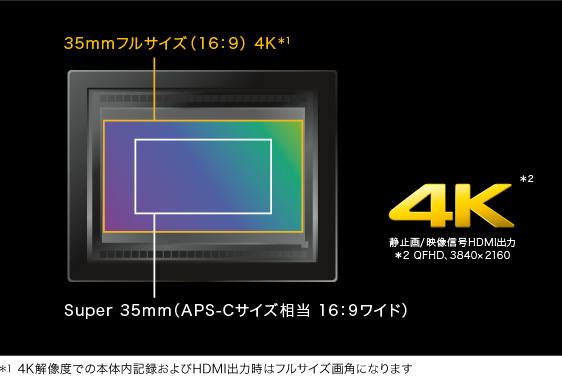 α7S II 特長 : 画素加算のない高画質4K・フルHD動画記録 | デジタル
