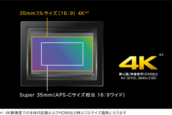 s Ii 特長 画素加算のない高画質4k フルhd動画記録 デジタル一眼カメラa アルファ ソニー