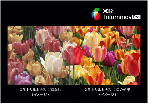 XR g~iX v̌ʃC[W摜C܂ 2021N67