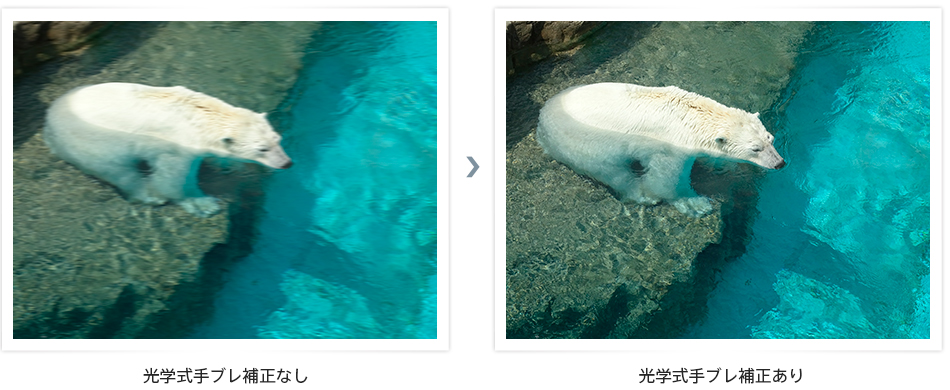 Sony Handycam 12倍光学ズーム(最上級) Sony Handycam 12倍光学ズーム(最上級) - メルカリ