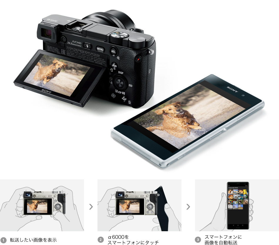 Sony α6000 ※引っ越しのため2/28までです