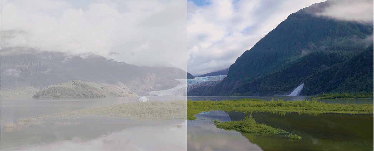 ���FS-Gamut3.Cine/S-Log3�@�E�F�J���[�O���[�f�B���O���ꂽ�f��