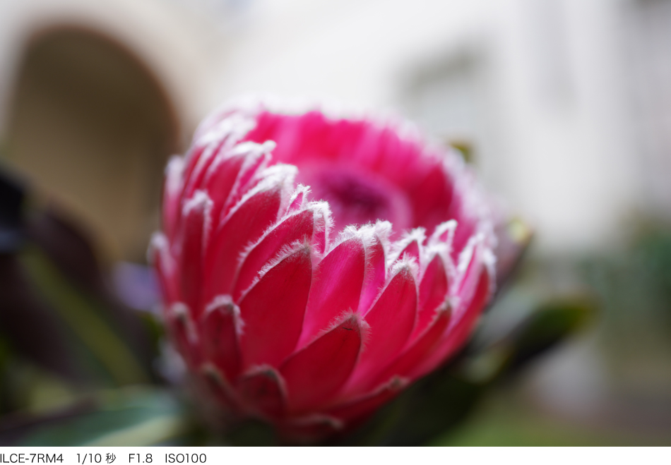 FE 20mm F1.8 G 特長 | デジタル一眼カメラα(アルファ) | ソニー