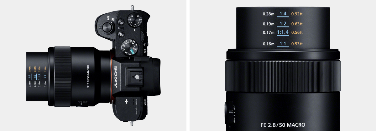 FE 50mm F2.8 Macro 特長 | デジタル一眼カメラα（アルファ） | ソニー