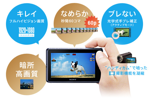 Dsc Tx300v 特長 フルハイビジョン動画撮影 デジタルスチルカメラ Cyber Shot サイバーショット ソニー