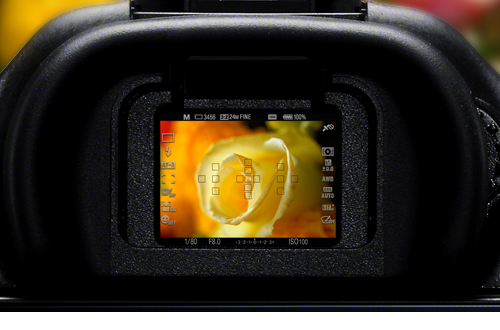 A65 特長 集中力を高めるファインダー 液晶モニター デジタル一眼カメラa アルファ ソニー