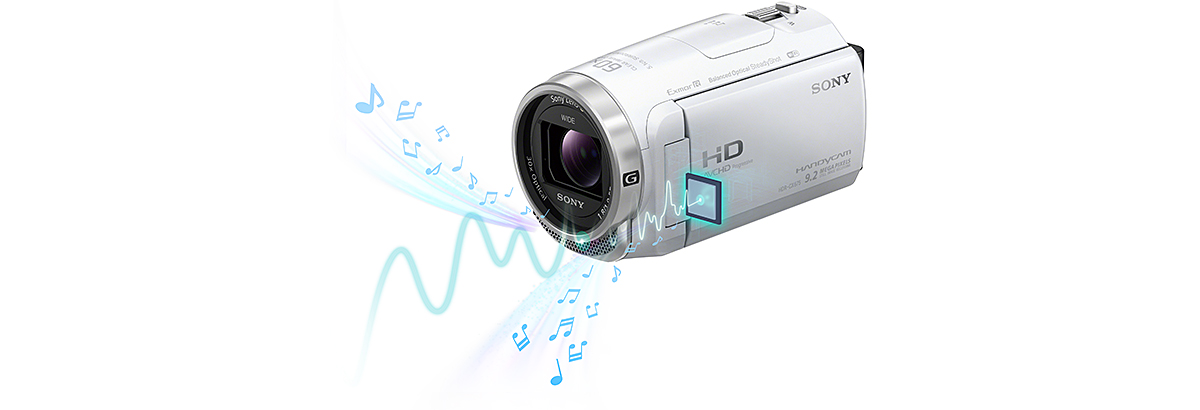 HDR-CX675 特長 : 高音質機能 | デジタルビデオカメラ Handycam