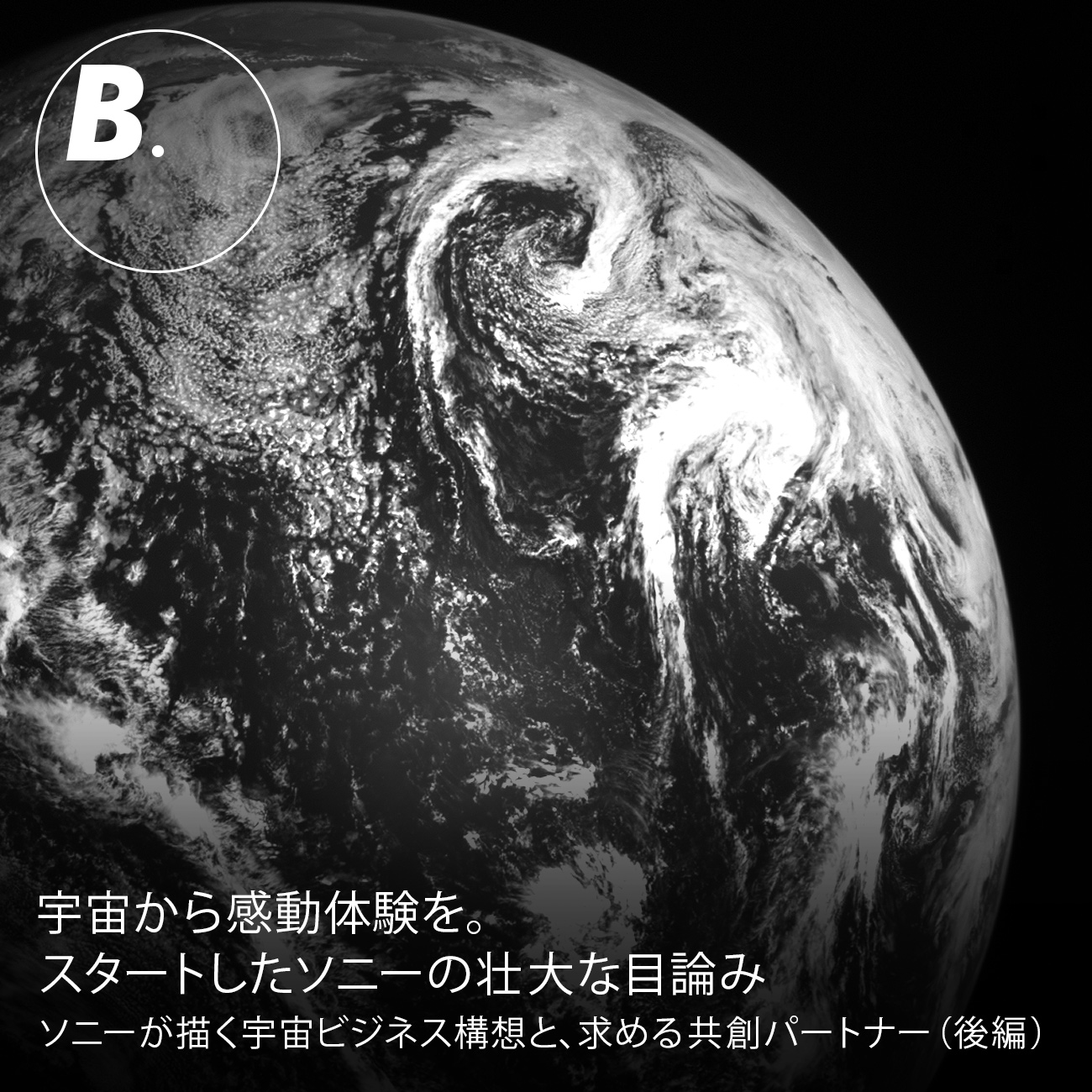 �F�����犴���̌����B�X�^�[�g�����\�j�[�̑s��Ȗژ_�݁i��ҁj\