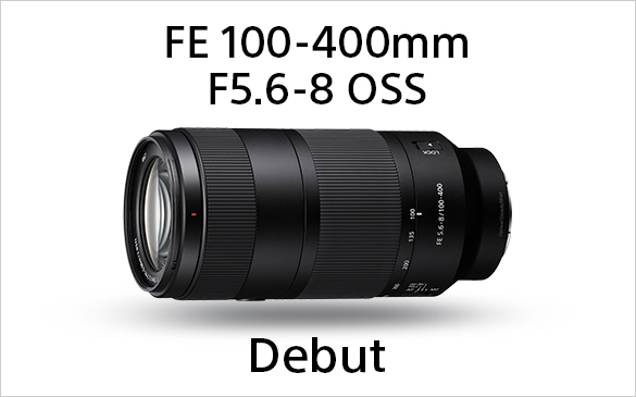 FE 100-400mm F4.5 GM OSS