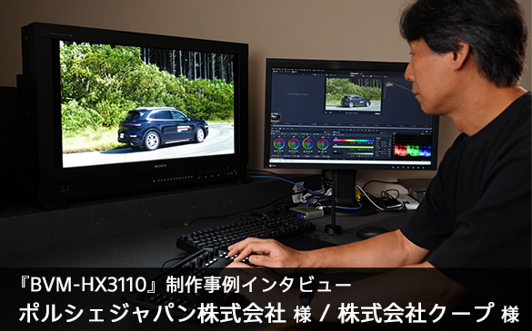 uBVM-HX3110v쎖C^r[ |VFWp l^ЃN[v l