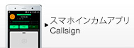 Callsign