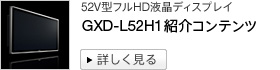 52V^tHDtfBXvC GXD-L52H1ЉRec