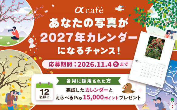 ��cafe ���Ȃ��̎ʐ^��2027�N�J�����_�[�ɂȂ�`�����X�I ������� 2026�N11��4��(��)�܂Ł@�e���ɍ̗p���ꂽ��12���l�Ɋ��������J�����_�[�Ƃ���ׂ�Pay15,000�|�C���g�v���[���g