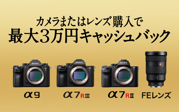 ���t���T�C�Y�~���[���X �I�[�^���L�����y�[��