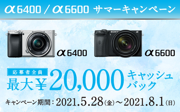 ��6400�^��6600 �T�}�[�L�����y�[�� ��6400 ��6600 ����ґS�� �ő�20,000�~�L���b�V���o�b�N �L�����y�[�����ԁF2021.5.28(��)�`2021.8.1(��)