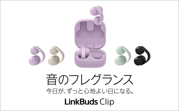 ���̃t���O�����X�@�������A�����ƐS�n�悢���ɂȂ�B�@LinkBuds Clip