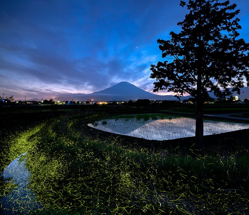 �y���W�L���z��36��u���{�̎��R�v�ʐ^�R���e�X�g��܍�i