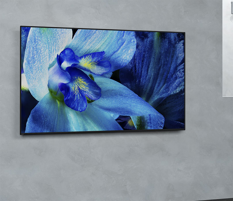 �y���W�L���z�ݒu������Œm��A�Ǌ|���e���r�̖���