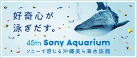 好奇心が泳ぎだす。　45th Sony Aquarium 　ソニーで感じる沖縄美ら海水族館